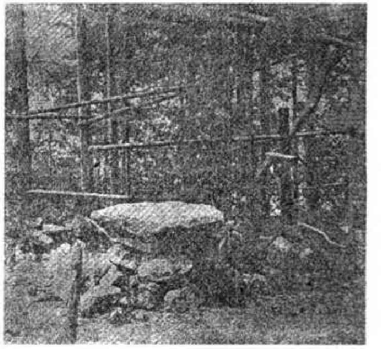 Снимок могилы Веры из публикации 1908 года