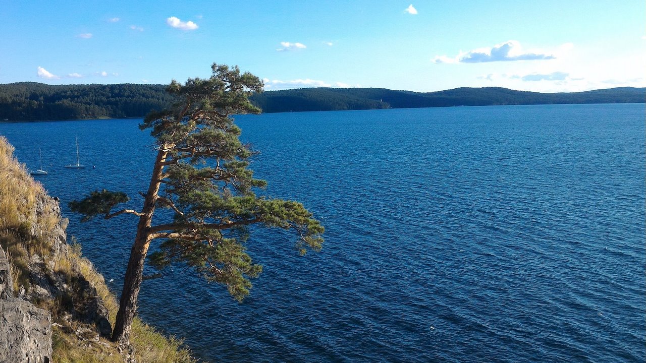 Скалы Крутиков, сосна и озеро Тургояк